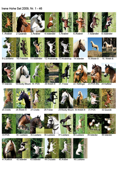 Pferdepostkartenset 2009